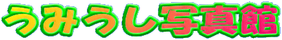 E~EVʐ^