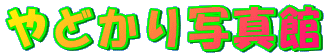 ǂʐ^/RoT~ʐ^فI