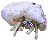 EXCTShJ by``